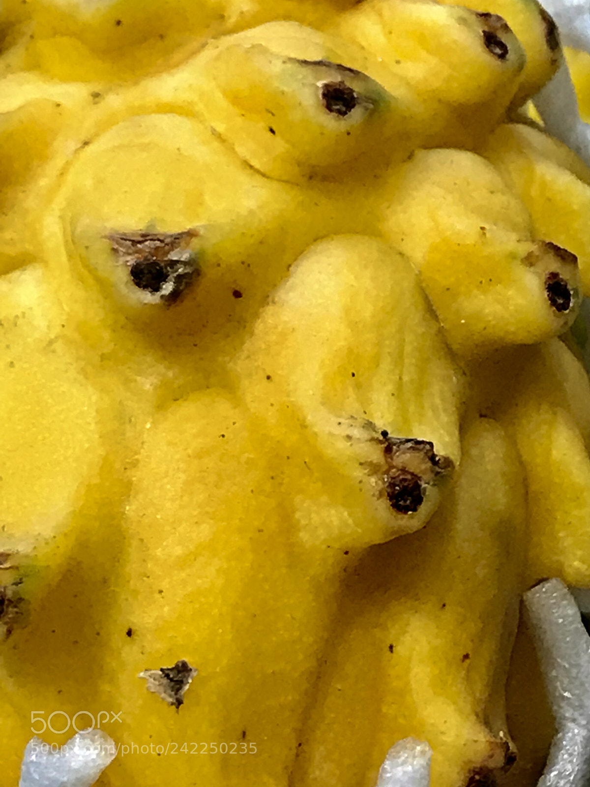 Apple iPhone 7 Plus sample photo. Yellow photography