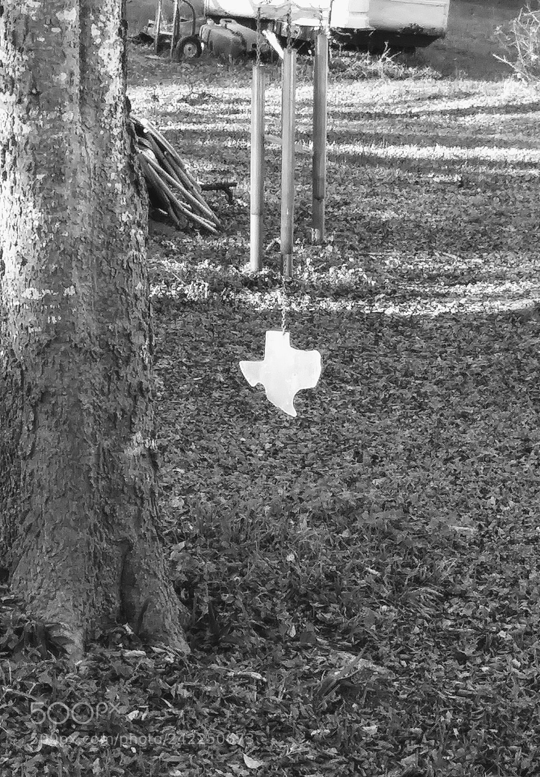 LG K20 PLUS sample photo. Texas proud photography