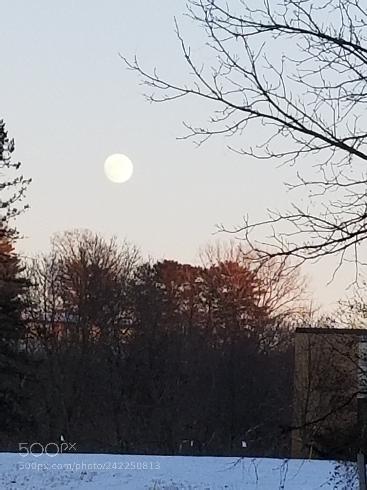 Samsung Galaxy S8+ sample photo. Night to remember photography
