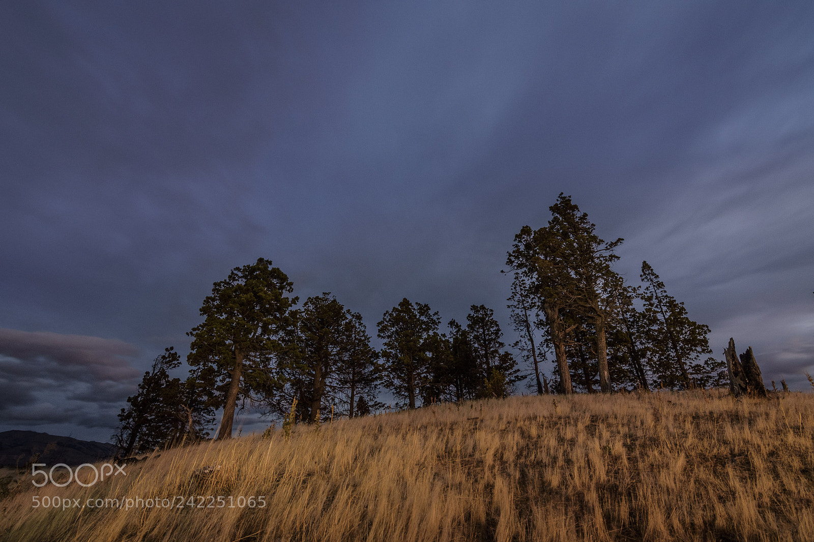 Nikon D7200 sample photo. Blue hour time in photography