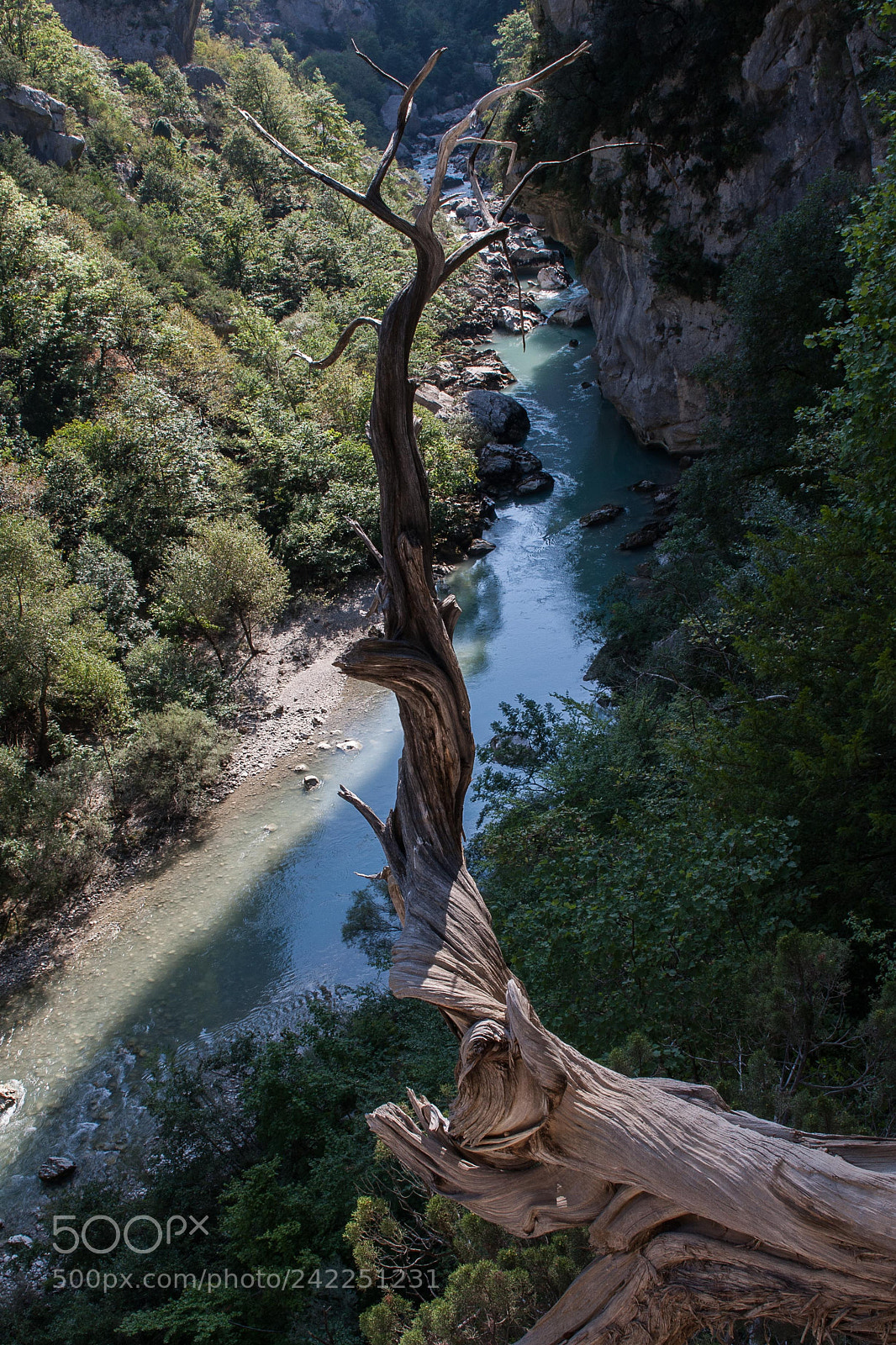 Canon EOS 40D sample photo. Cade endormi photography