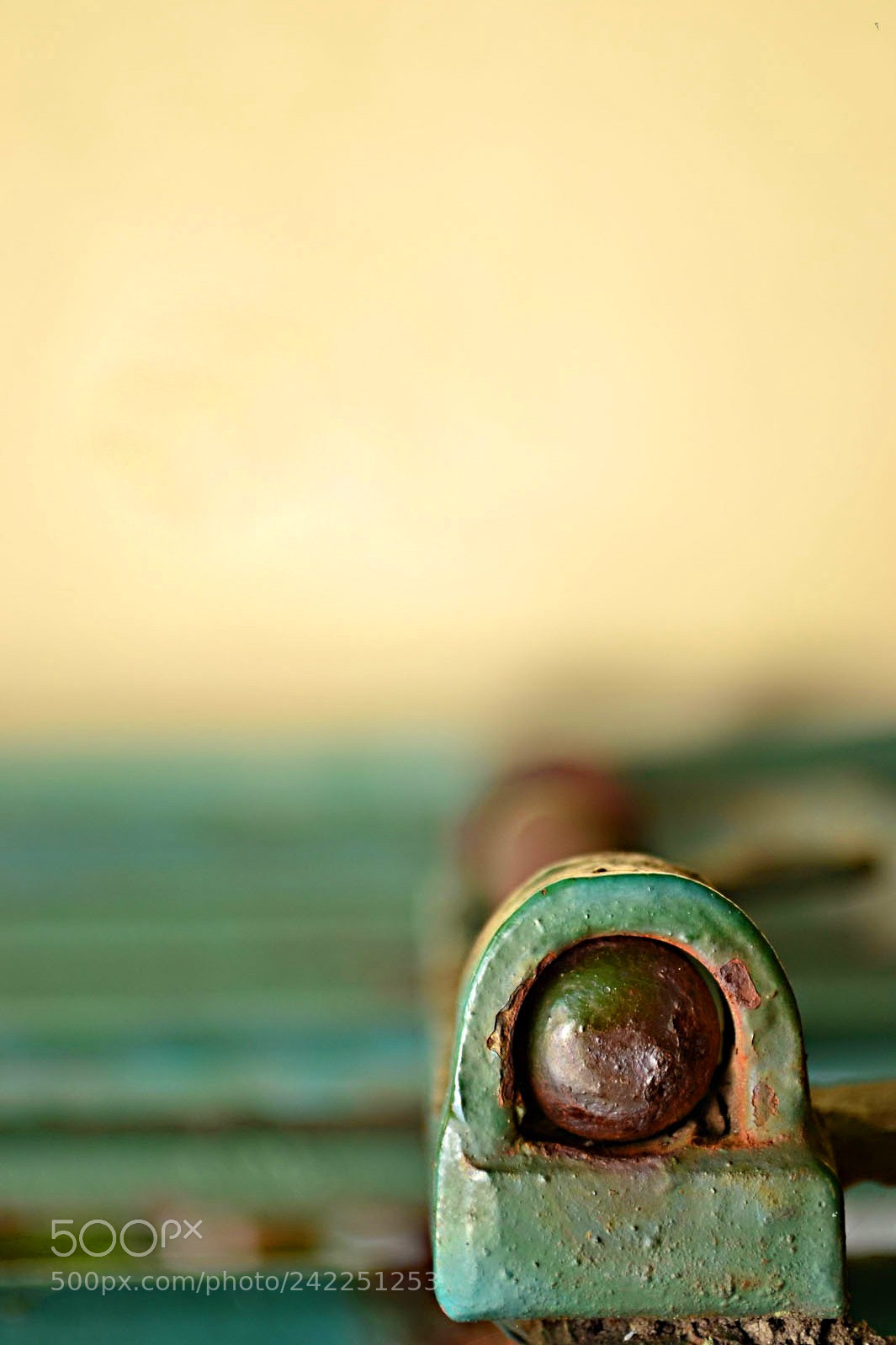Nikon D3100 sample photo. Untitled photography