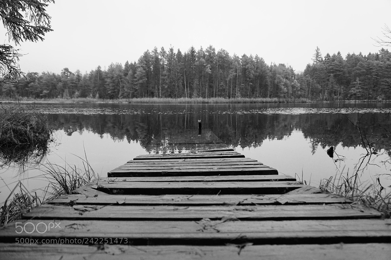 Sony Alpha a5000 (ILCE 5000) sample photo. Drown photography