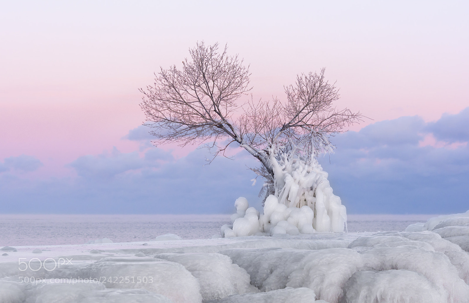 Nikon D7100 sample photo. Ice wonderland photography