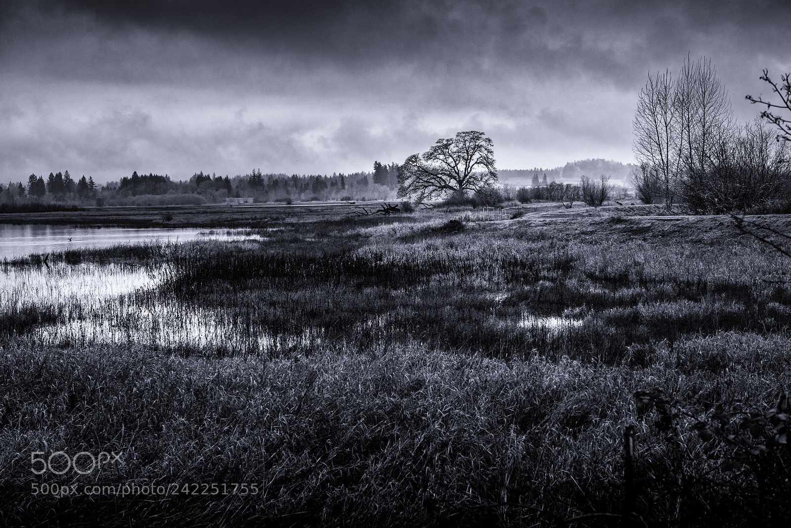 Nikon D810 sample photo. Winter refuge photography
