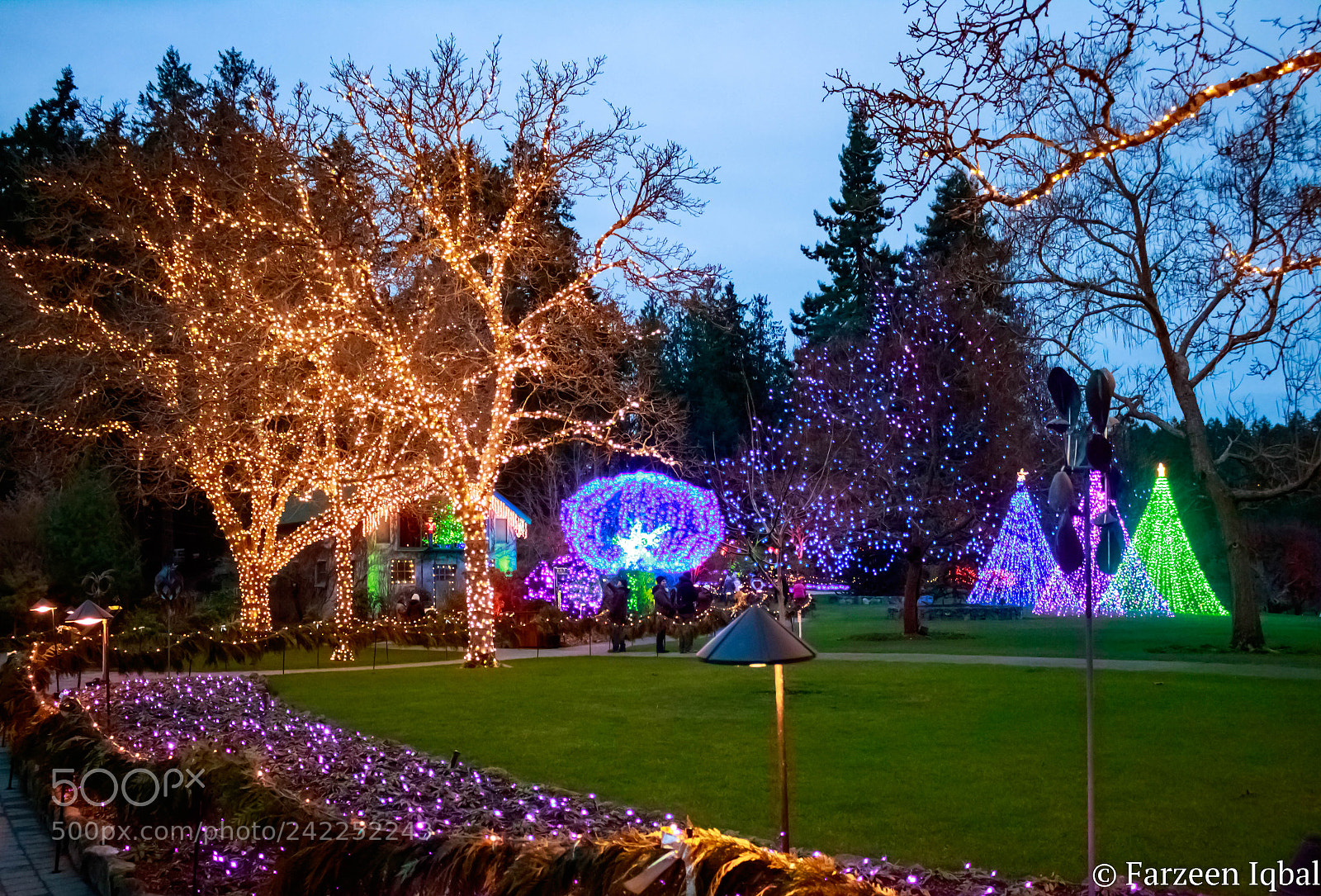 Canon EOS 750D (EOS Rebel T6i / EOS Kiss X8i) sample photo. Last of the season photography