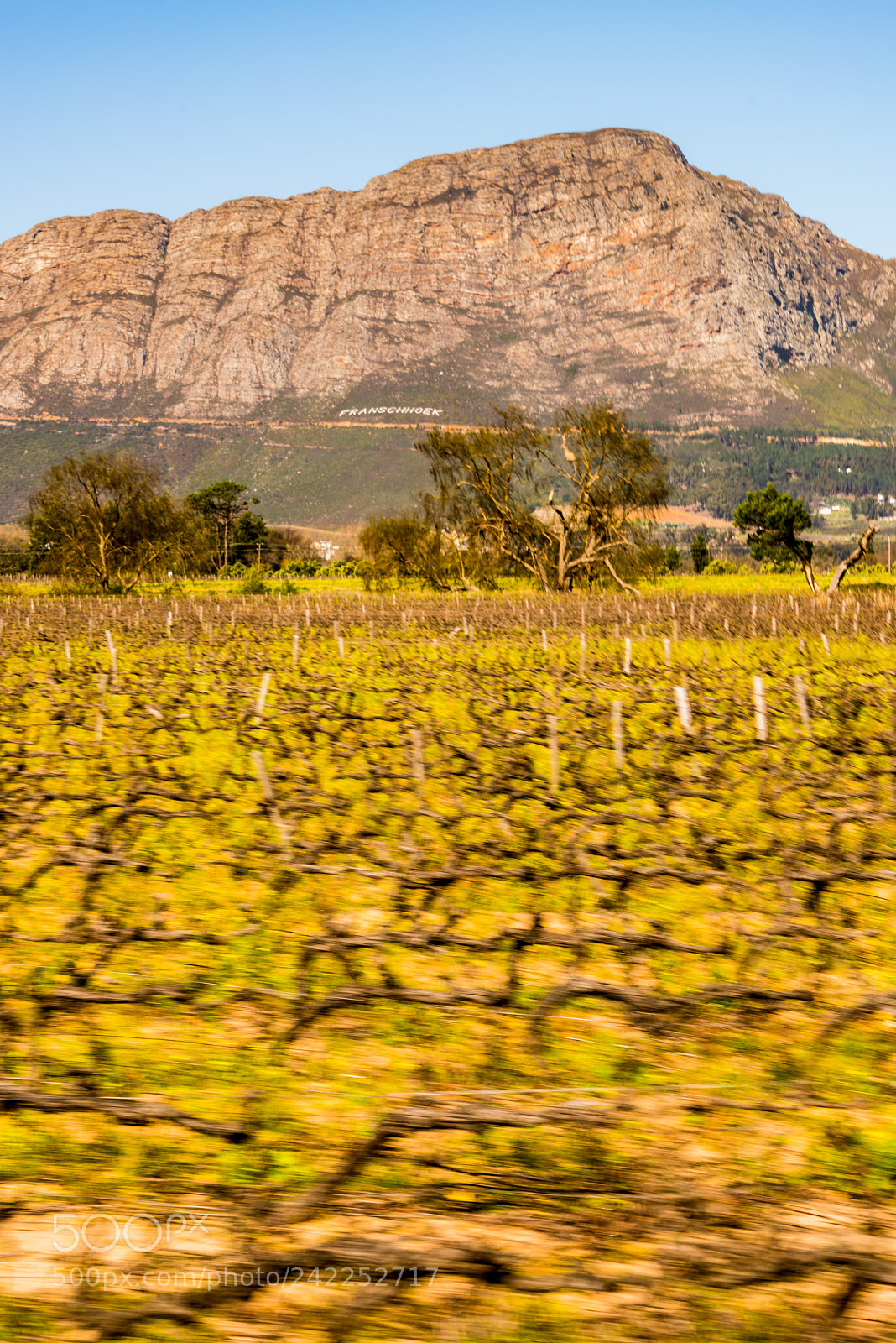 Nikon D810 sample photo. Franschhoek photography