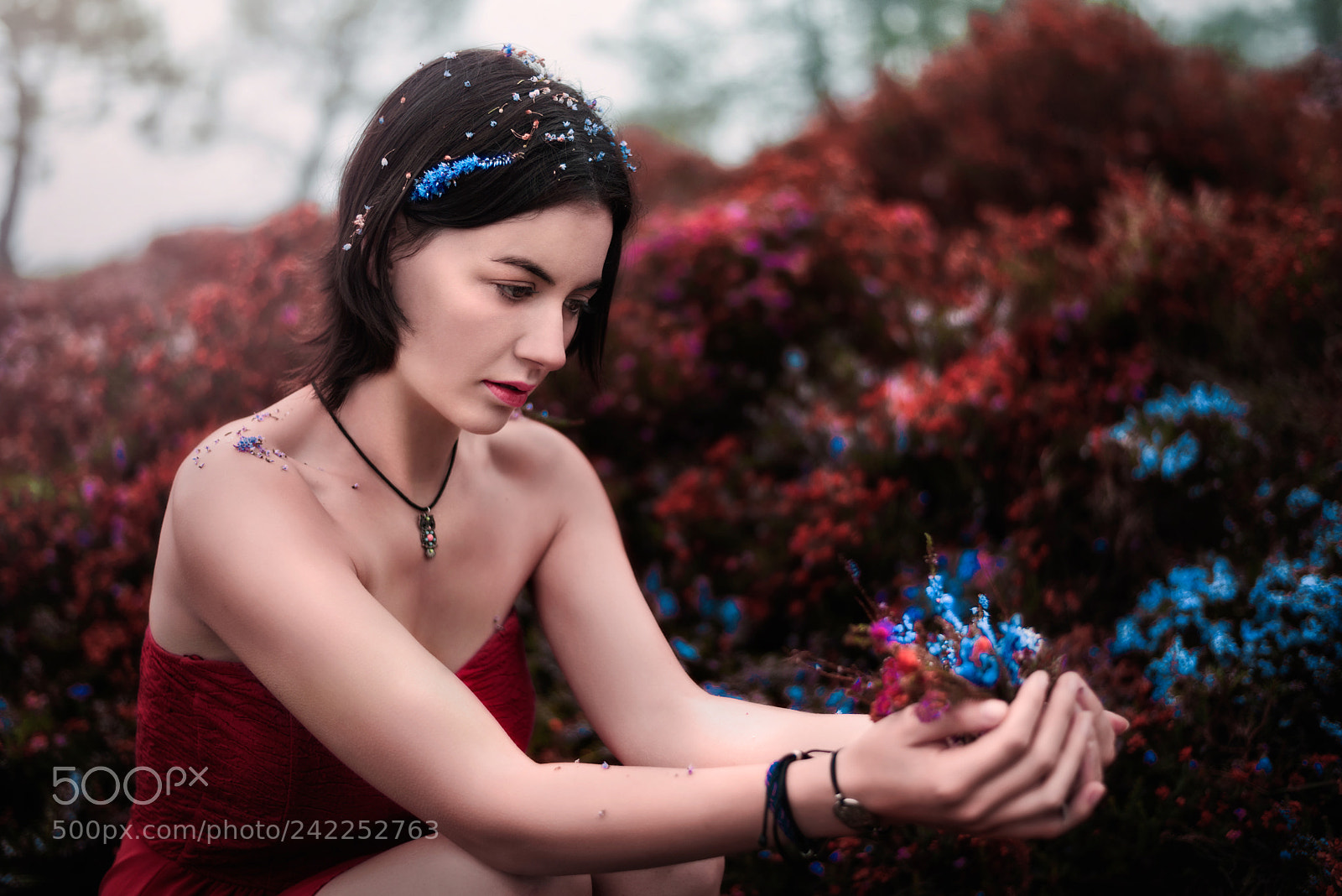 Nikon D810 sample photo. Noi photography