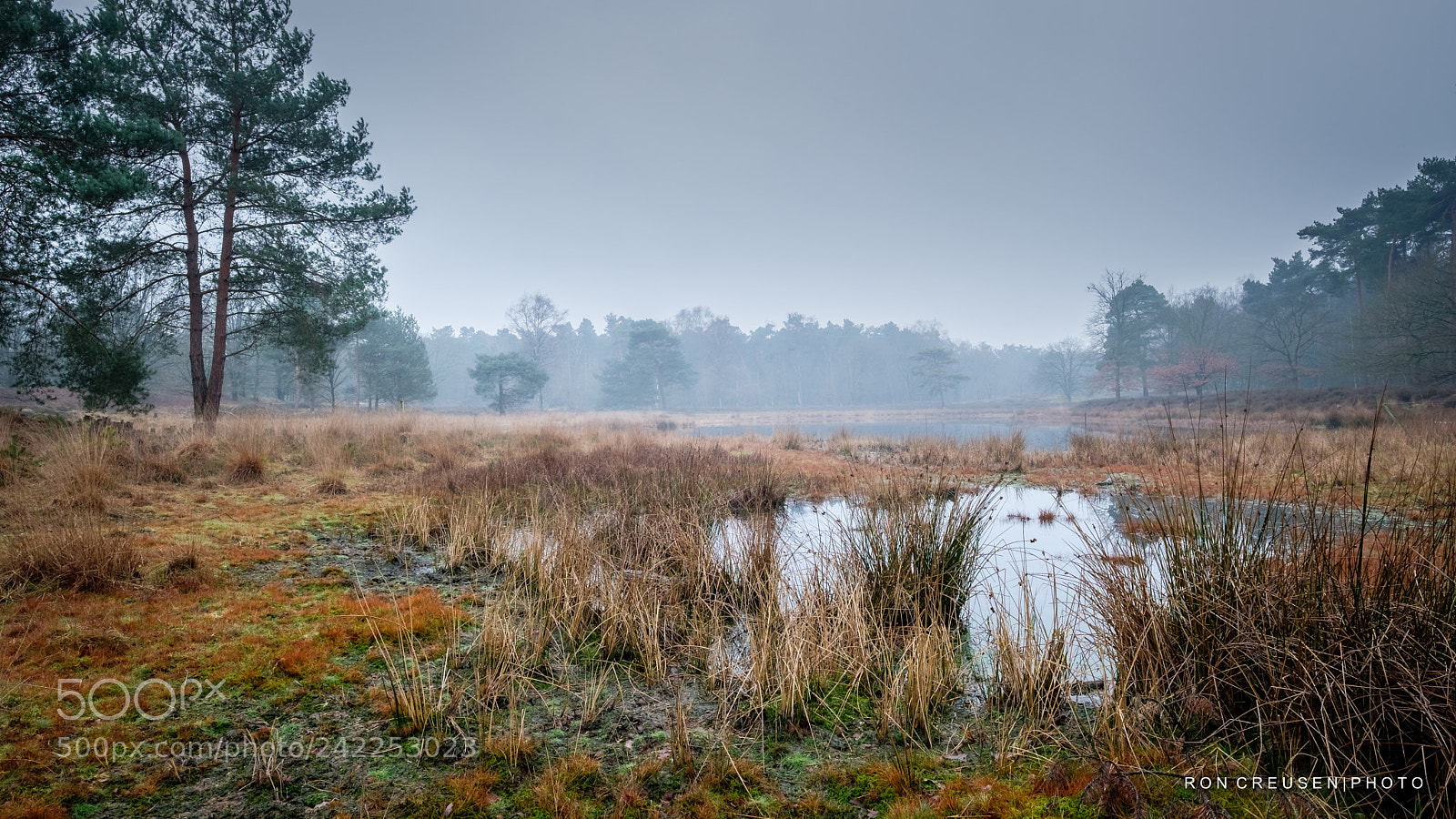 Fujifilm X-T2 sample photo. Winter on the moor photography