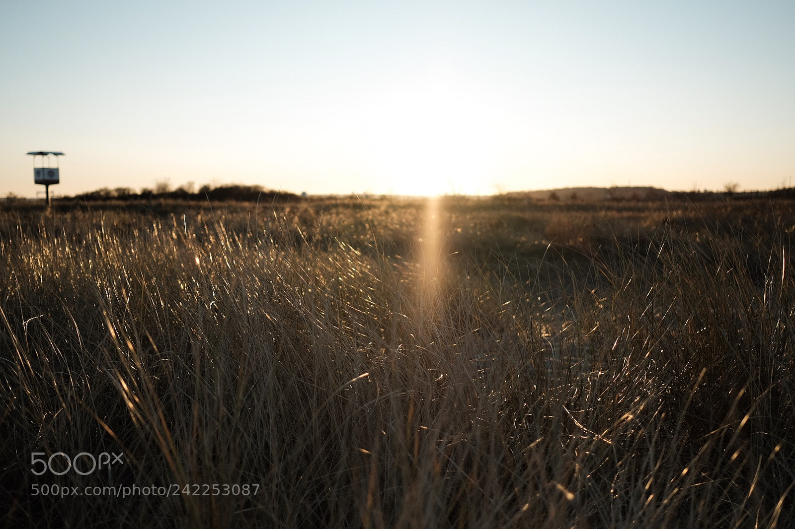 Fujifilm X-Pro2 sample photo. Kiel falkenstein photography