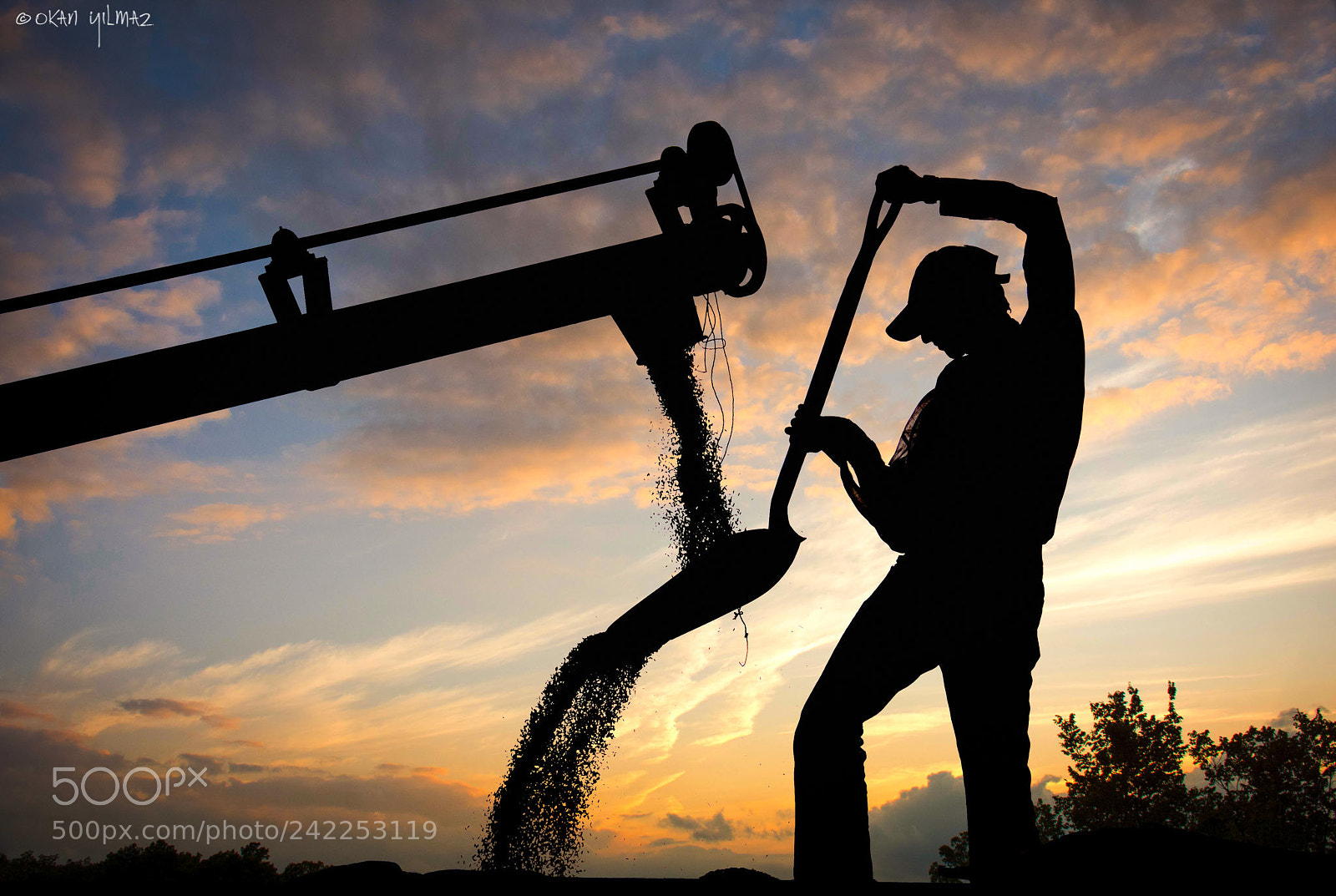 Nikon D200 sample photo. Silhouette photography