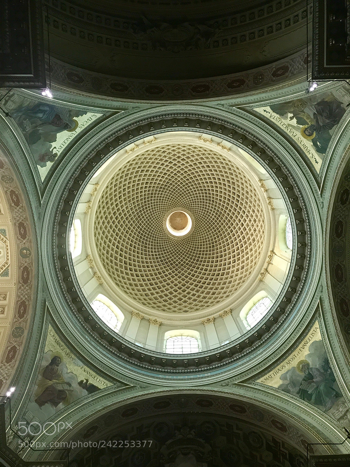 Apple iPhone 7 Plus sample photo. Looking up... photography