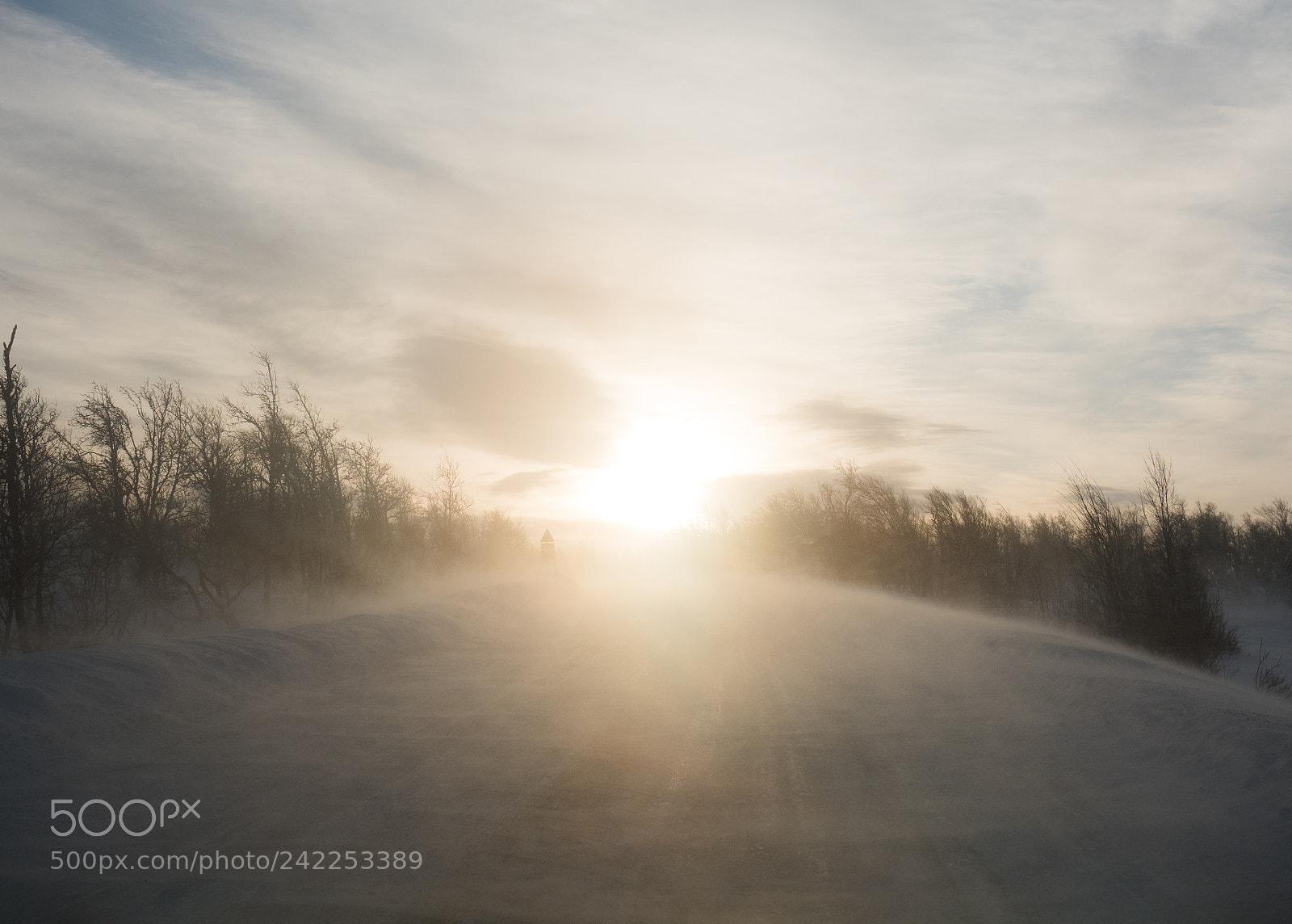 Olympus OM-D E-M5 II sample photo. The blizzard photography