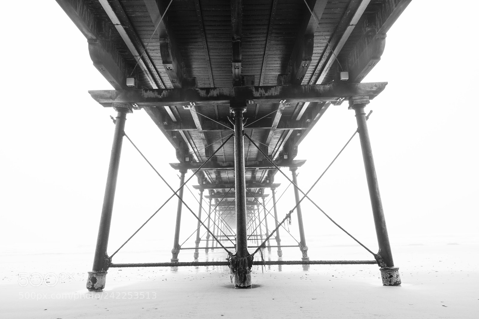 Nikon D810 sample photo. Underneath saltburn pier photography