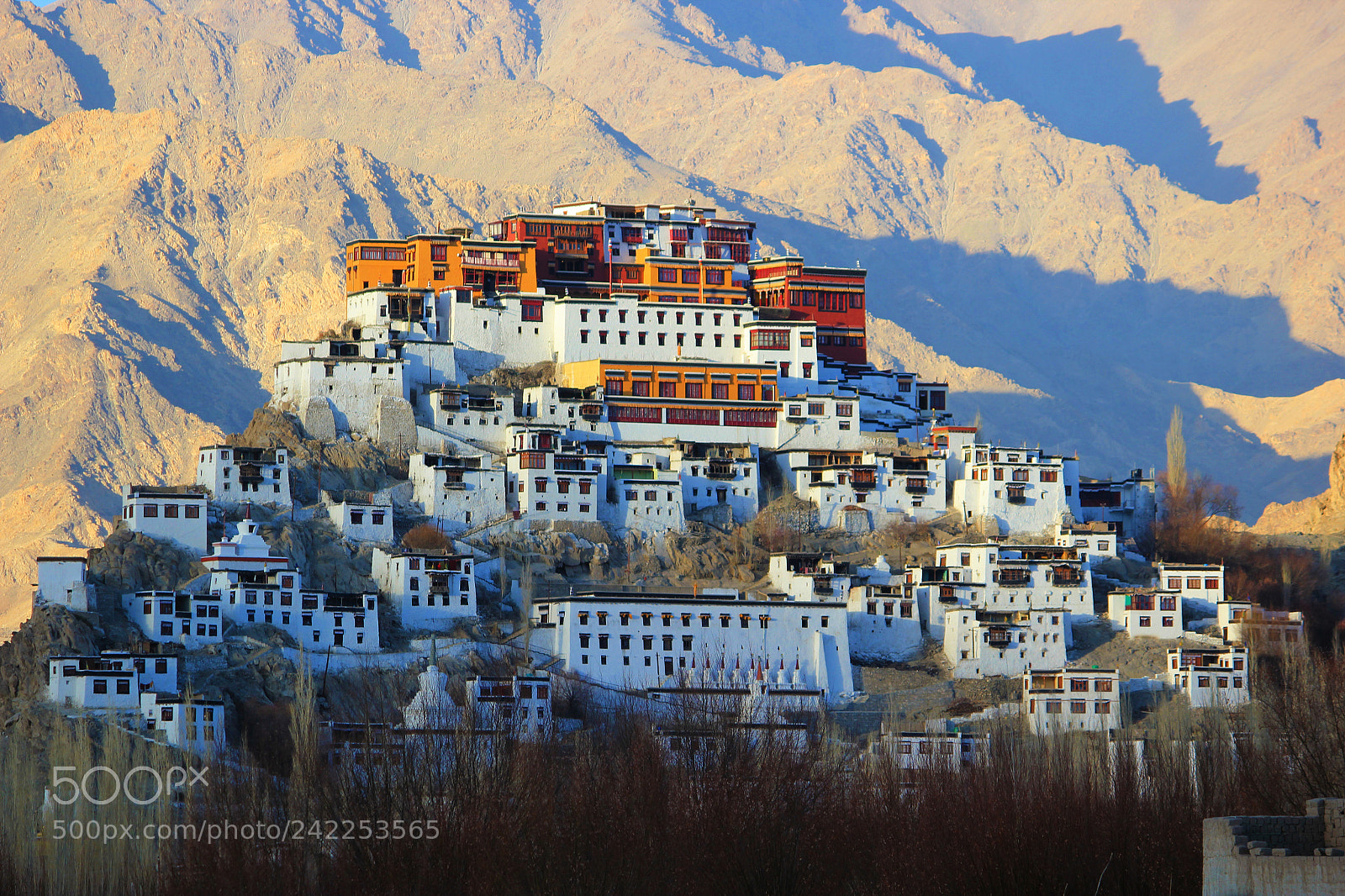 Canon EOS 550D (EOS Rebel T2i / EOS Kiss X4) sample photo. Ladakh architect photography