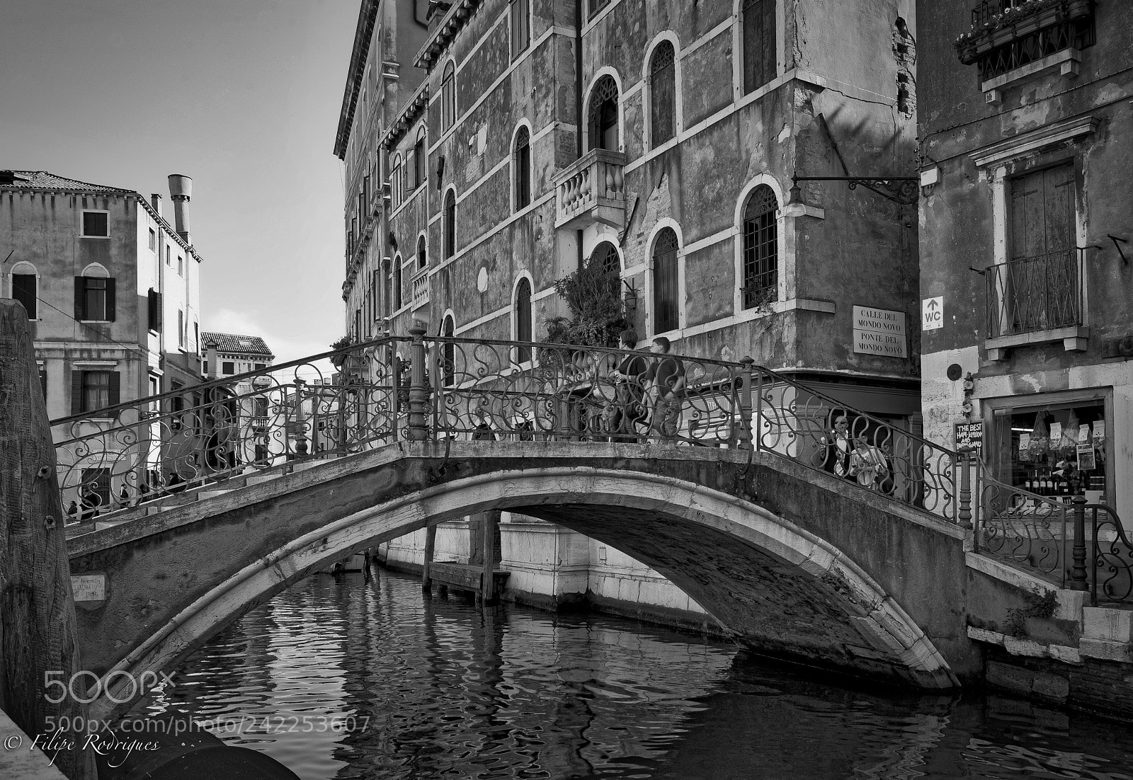 Nikon D800E sample photo. Bridge photography