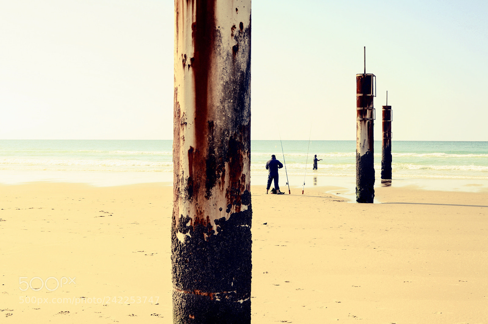 Nikon D90 sample photo. Entre les poteaux photography