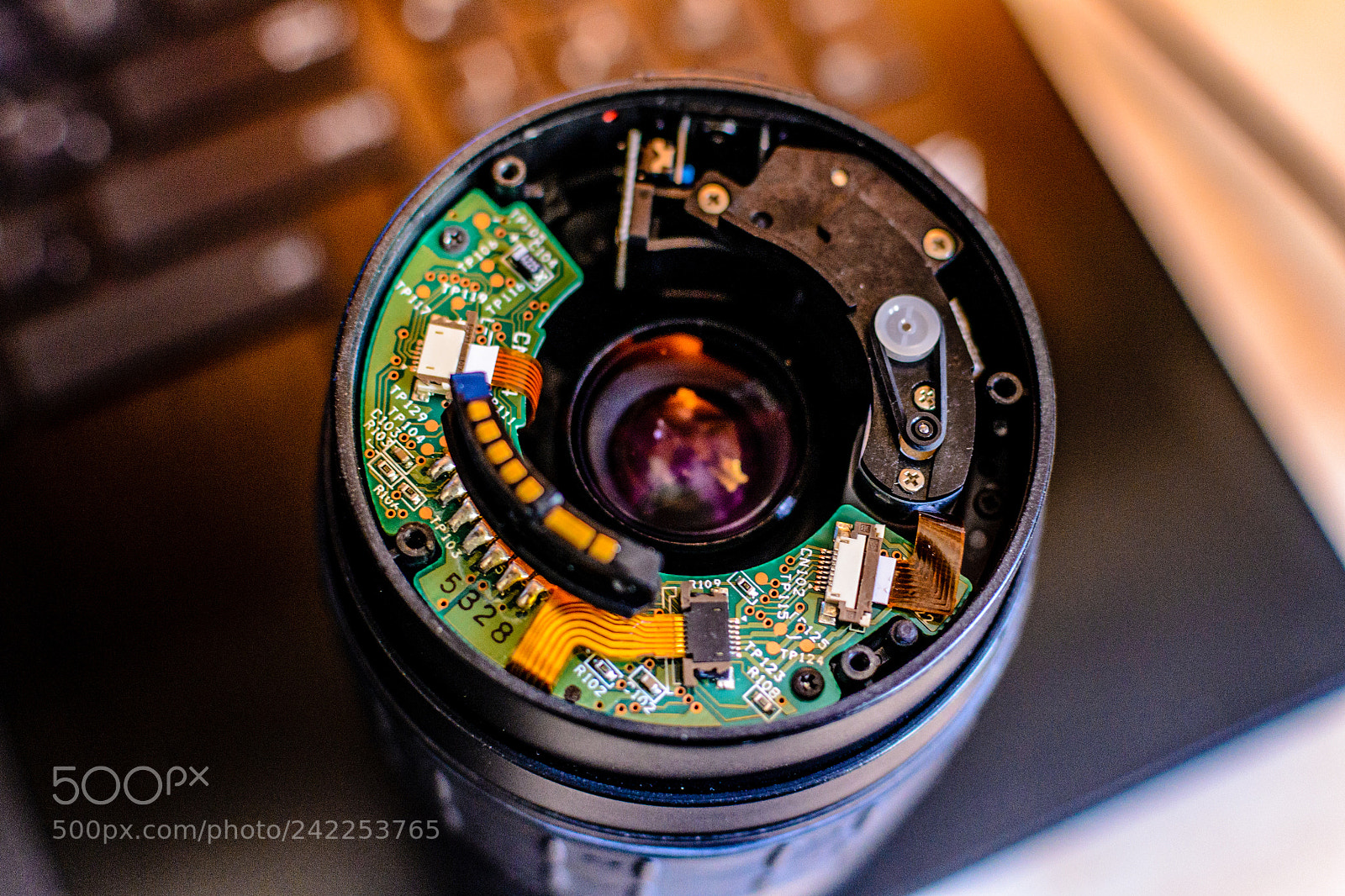Nikon D3100 sample photo. Get free lens so photography