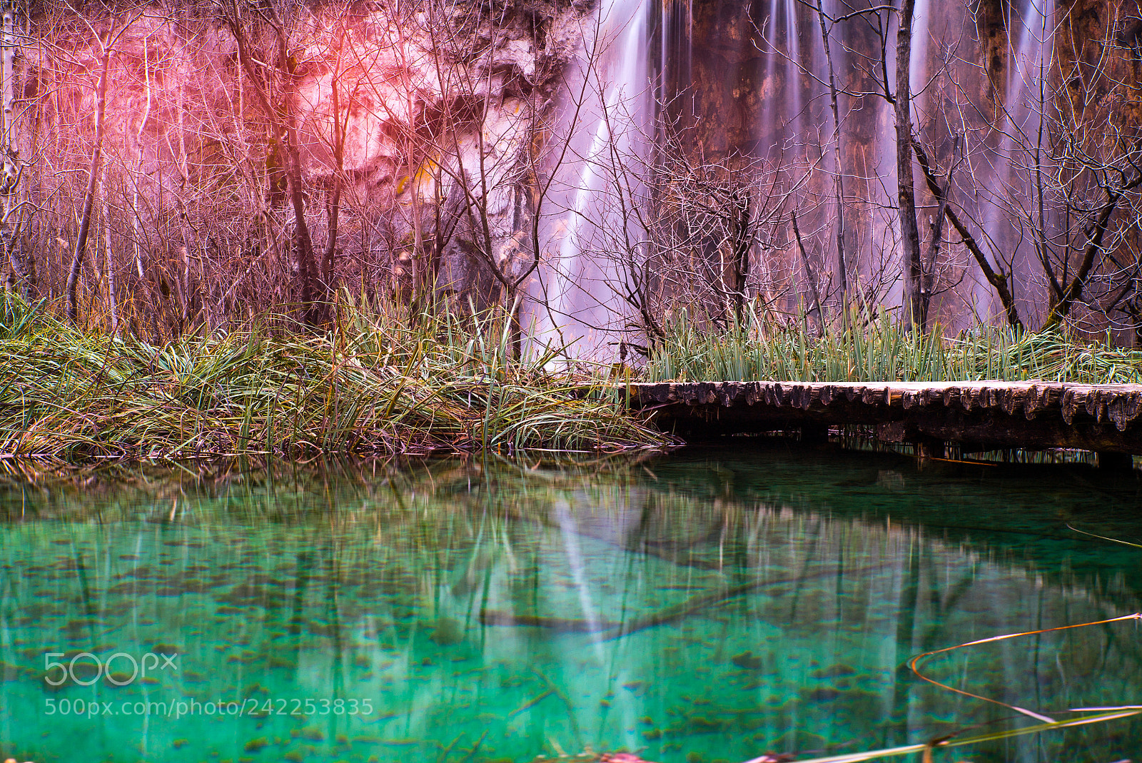 Sony a7S sample photo. Evening in plitvice photography