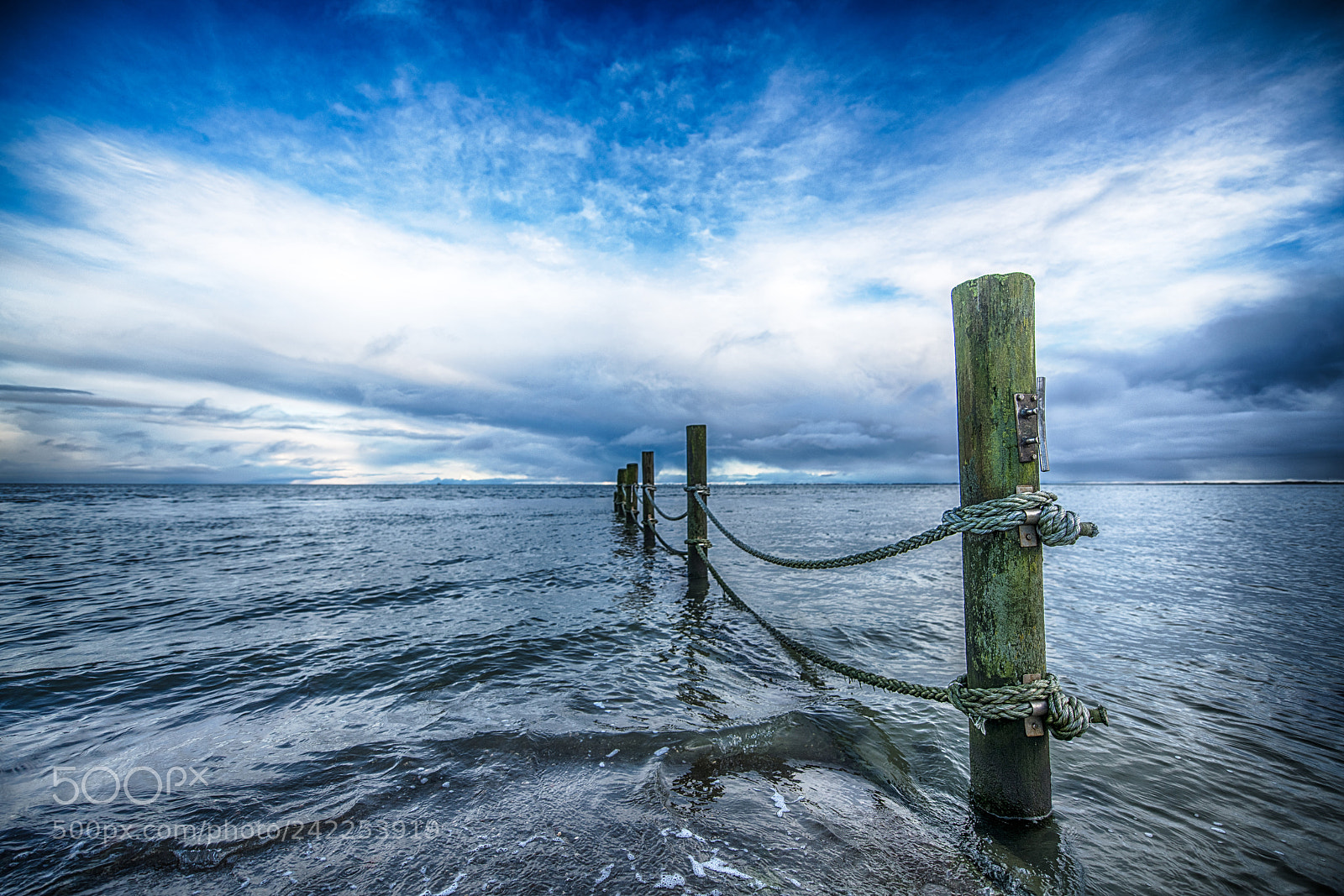 Nikon D850 sample photo. A day at the photography
