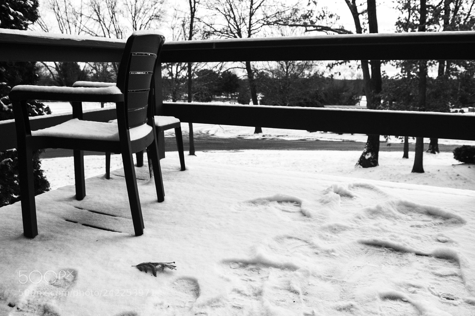 Nikon D5500 sample photo. Morning in wisconsin photography