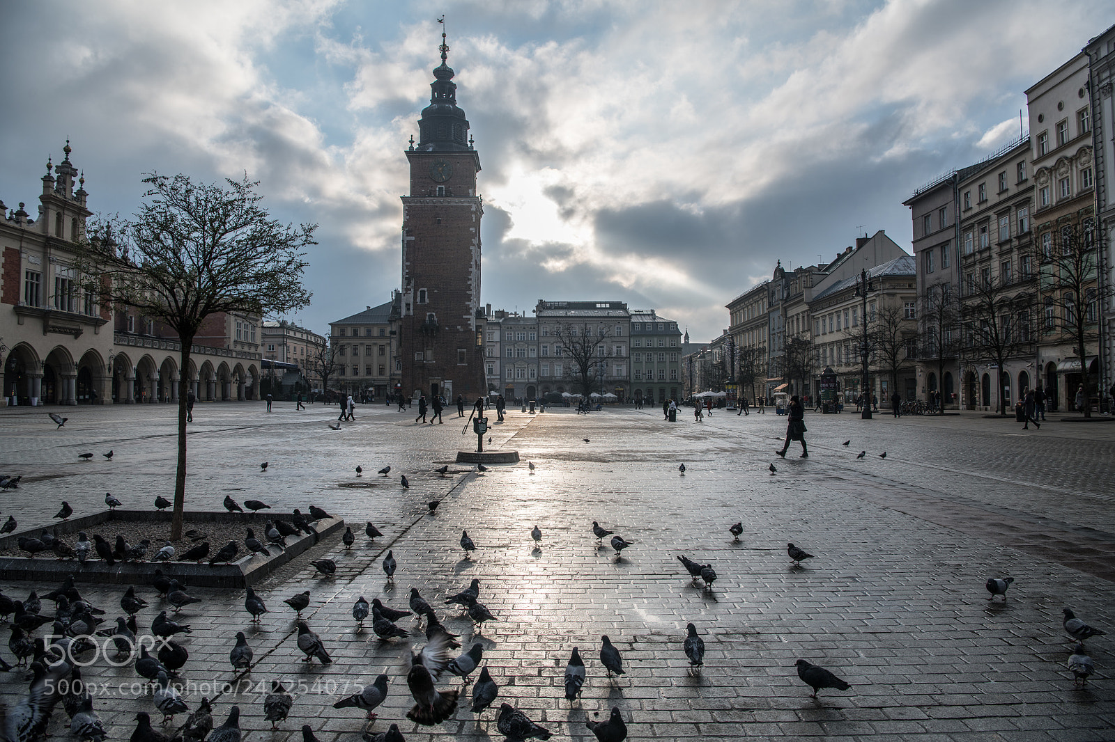 Nikon D850 sample photo. Krakow old city photography