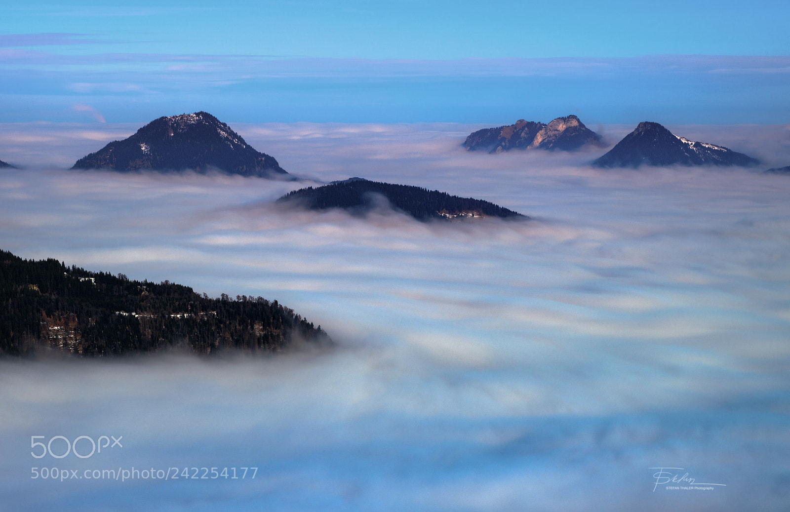 Nikon D850 sample photo. Sea of fog photography