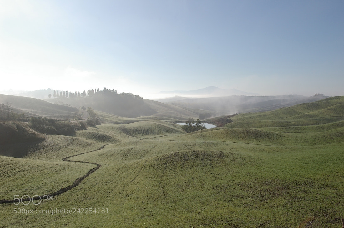 Pentax K100D sample photo. Foggy valley photography