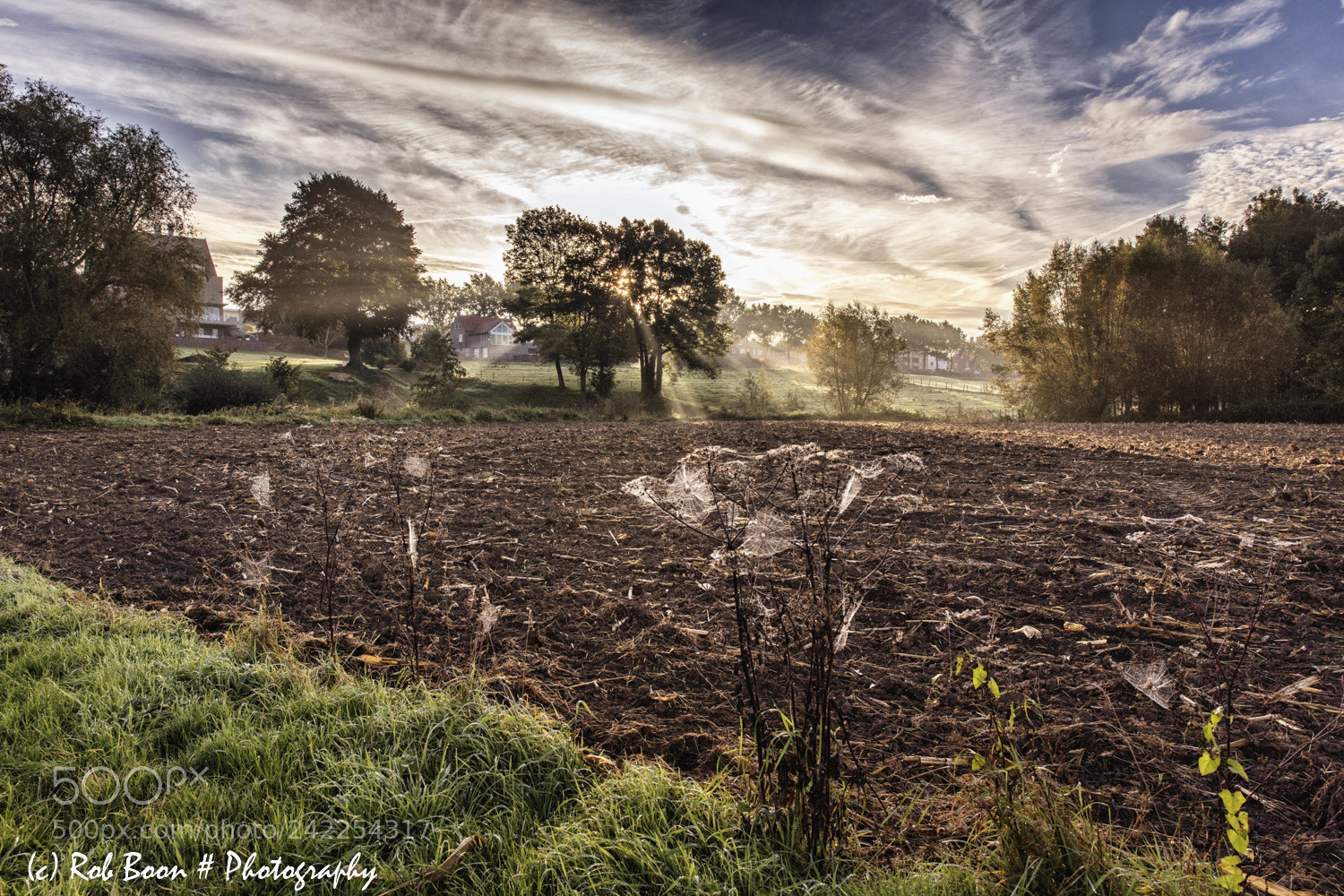 Canon EOS 5DS sample photo. Sunrise on a misty photography