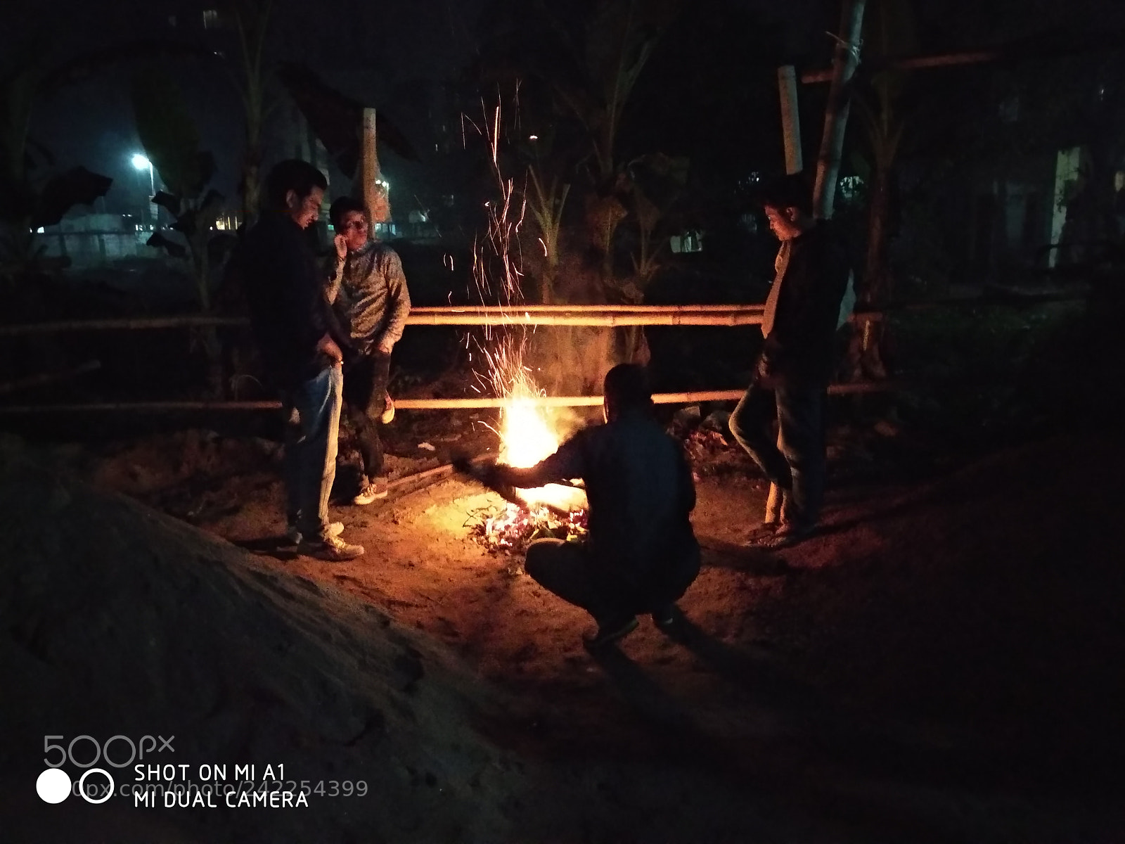 Xiaomi Mi A1 sample photo. Untitled photography