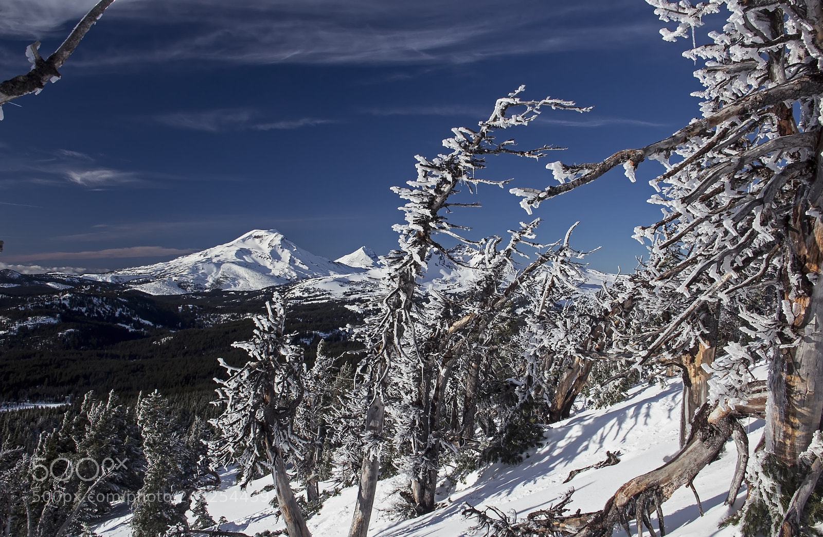 Canon EOS 60D sample photo. Winter photography