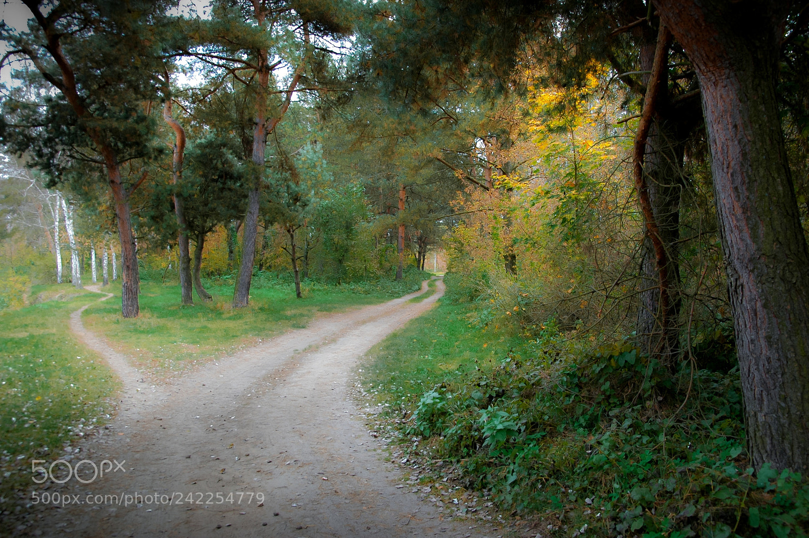 Nikon D70s sample photo. Дороги photography