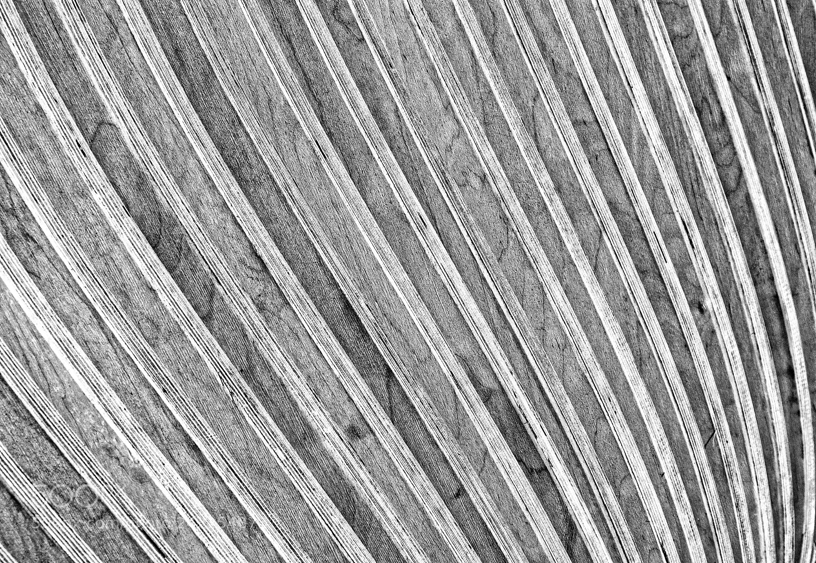 Nikon D80 sample photo. Curved photography