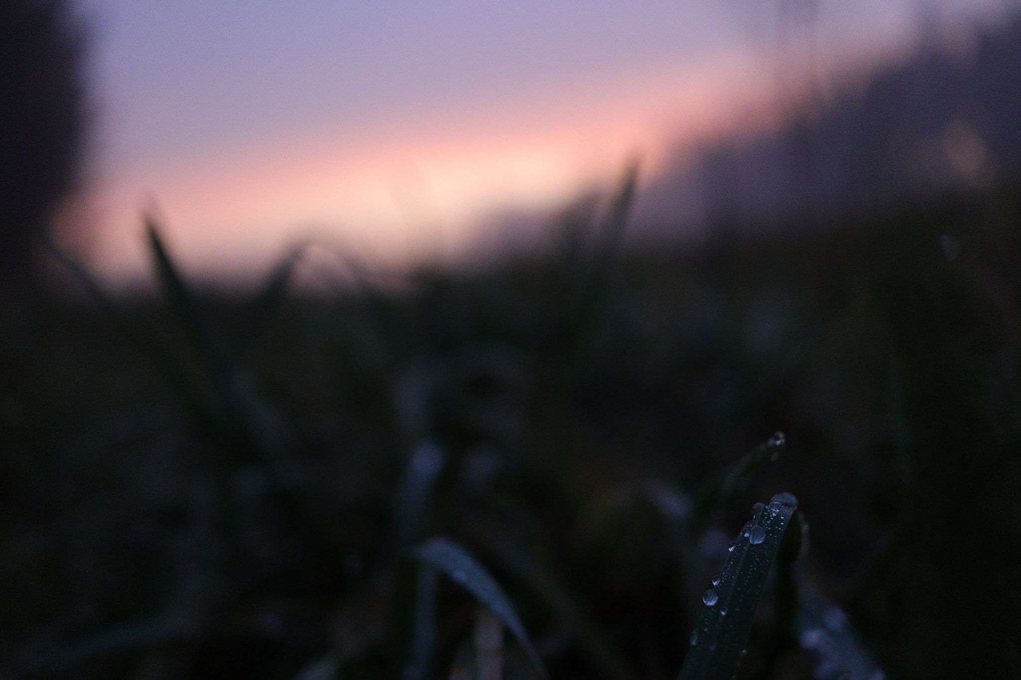 Canon EF-S 24mm F2.8 STM sample photo
