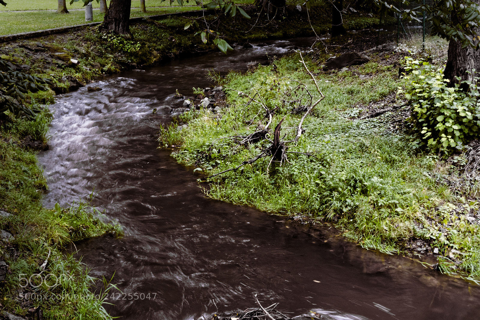 Olympus OM-D E-M1 sample photo. Spring of river teplicka photography