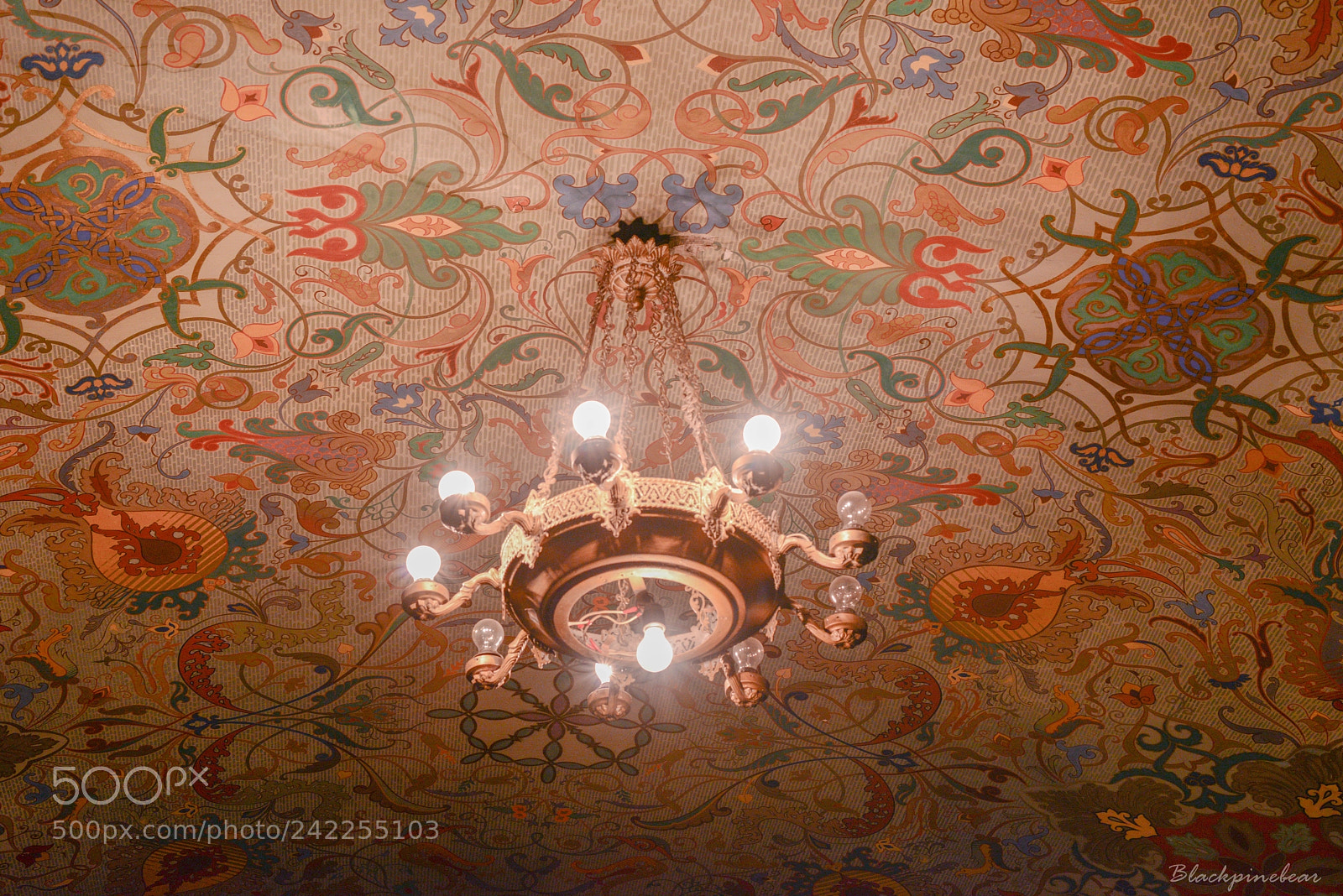 Nikon D800 sample photo. Library ceiling photography