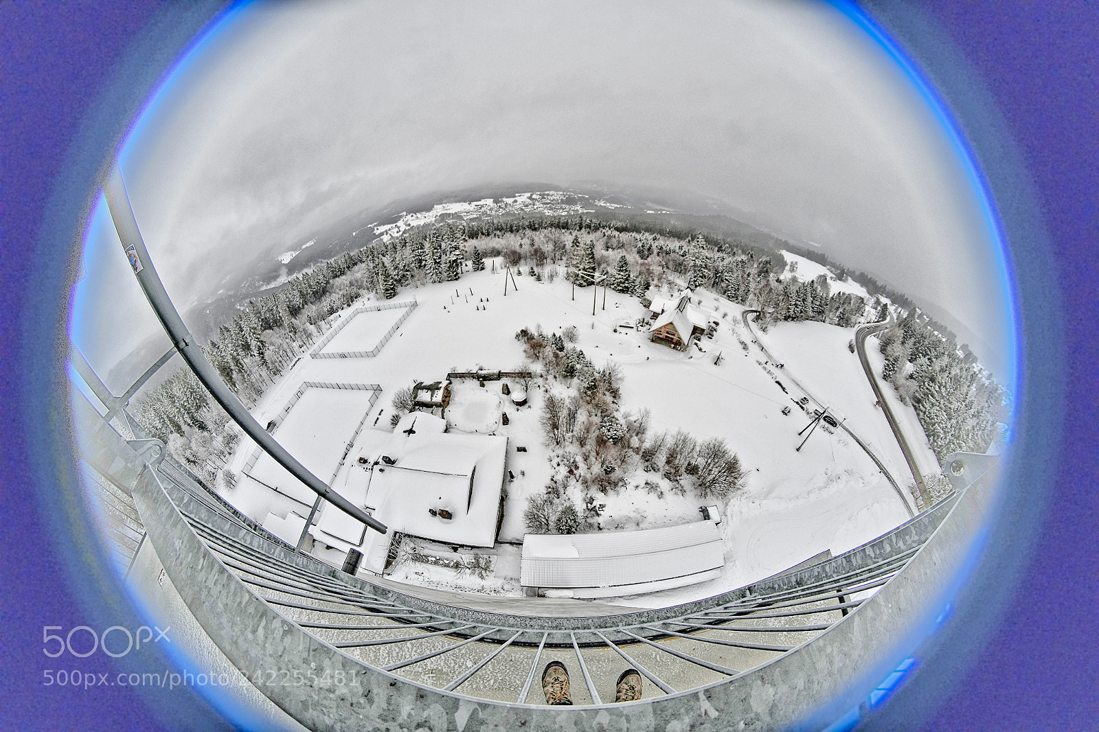 Nikon D850 sample photo. Snowball photography