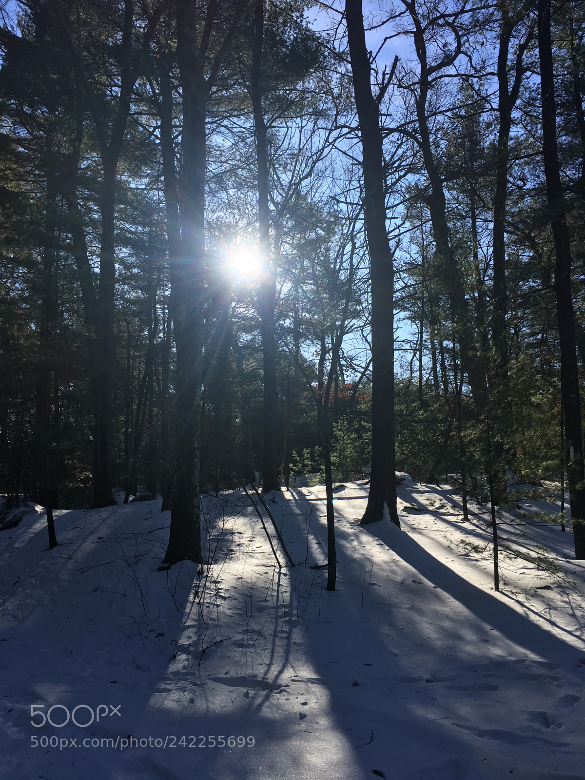 Apple iPhone 6s sample photo. Breakheart reservation photography