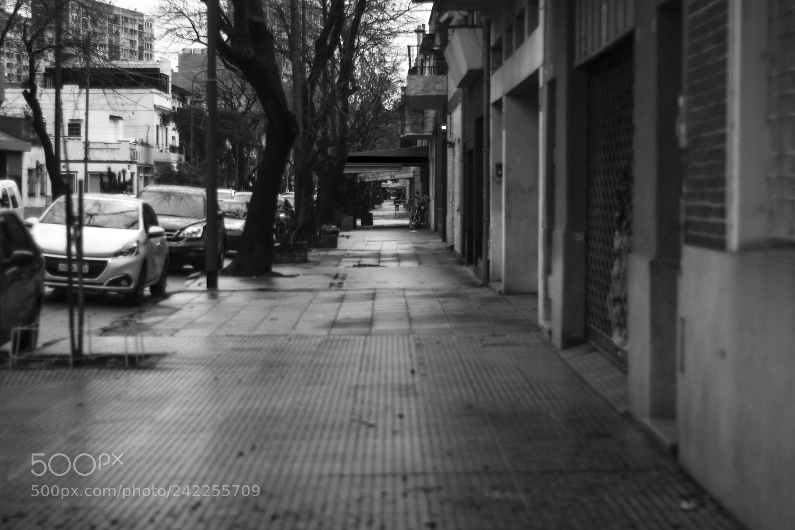 Canon EOS 700D (EOS Rebel T5i / EOS Kiss X7i) sample photo. Emilio lamarca mojado photography