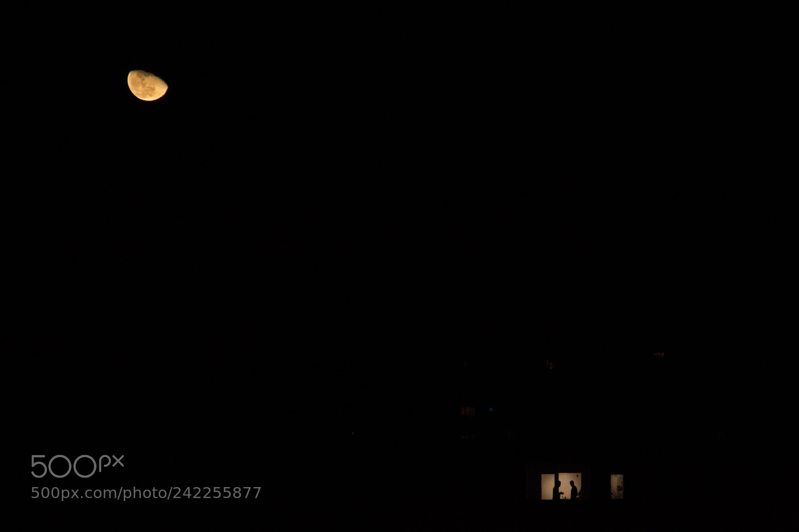 Nikon D3100 sample photo. Conversation under the moon photography