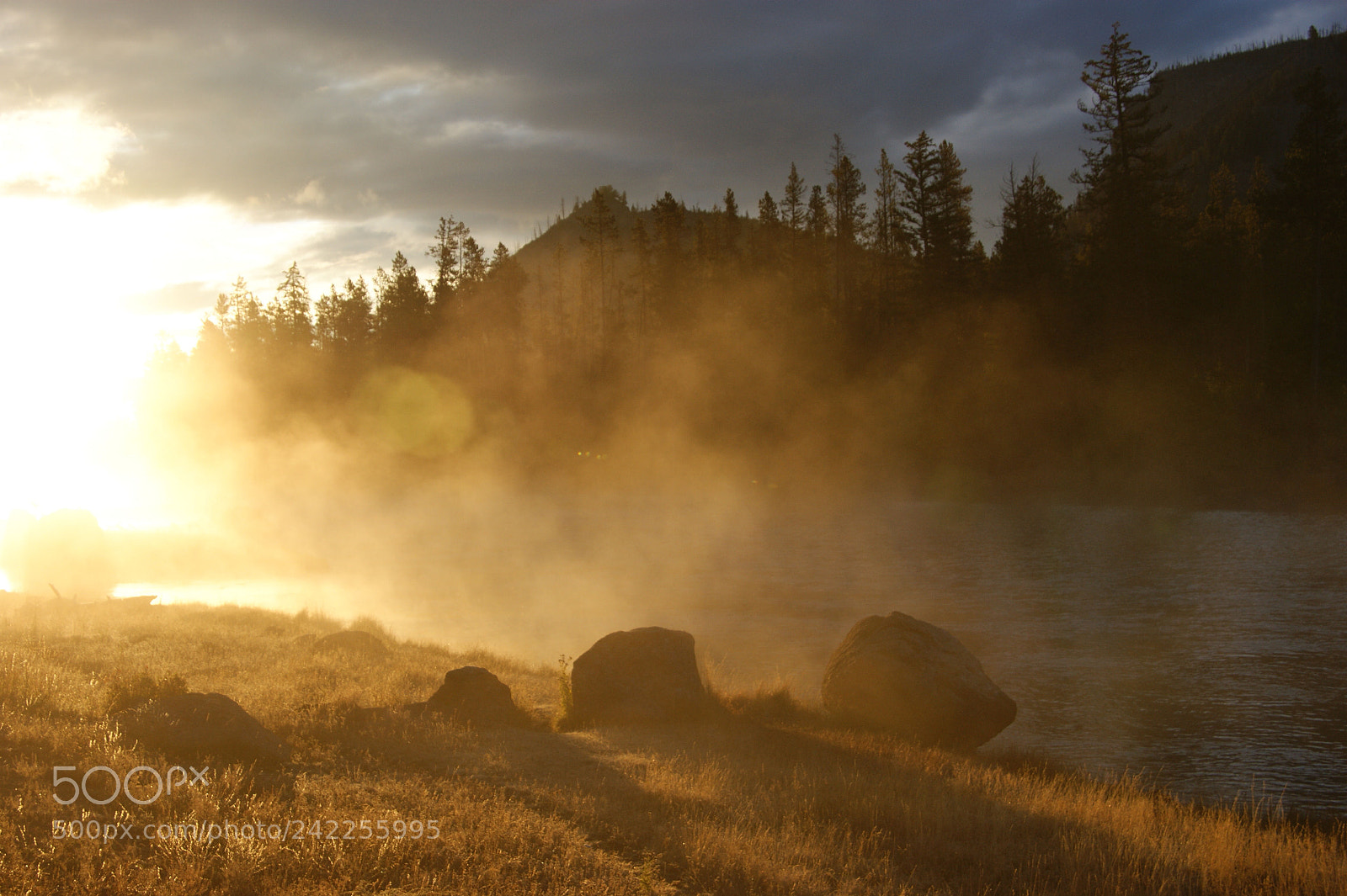 Sony Alpha DSLR-A350 sample photo. Yellowstone morning photography
