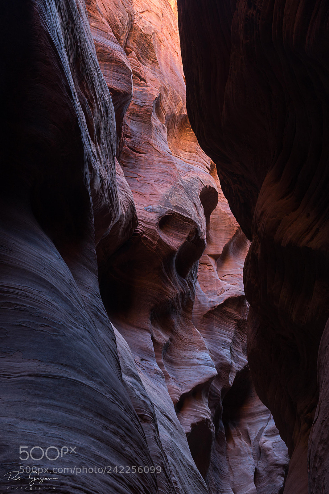Canon EOS 6D Mark II sample photo. Canyon light photography