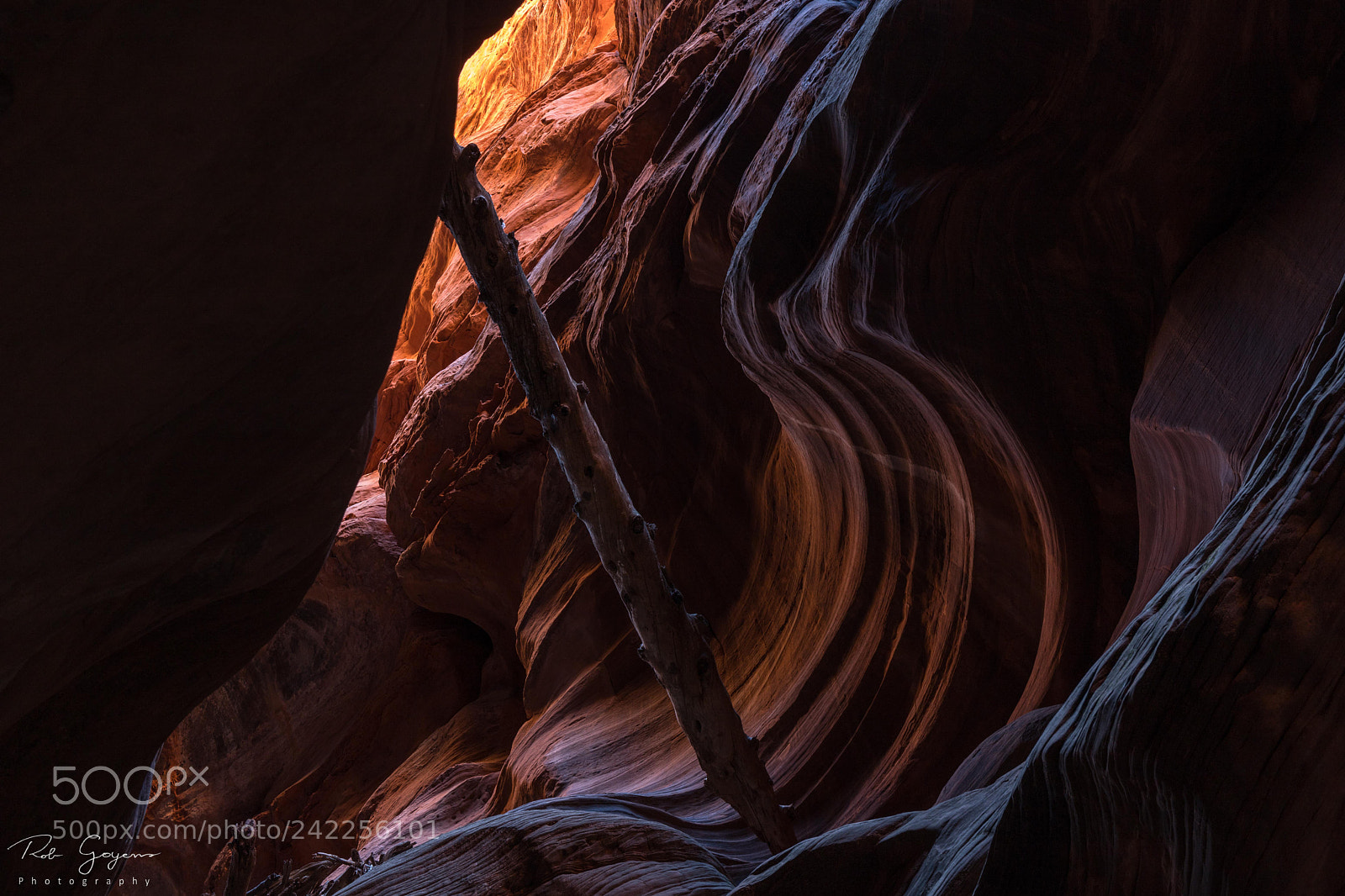 Canon EOS 6D Mark II sample photo. Stuck in canyon photography