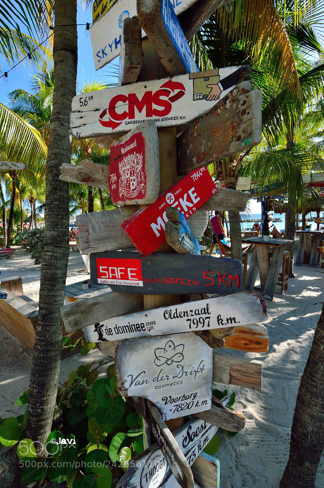 Nikon D3200 sample photo. Mambo beach korsou photography