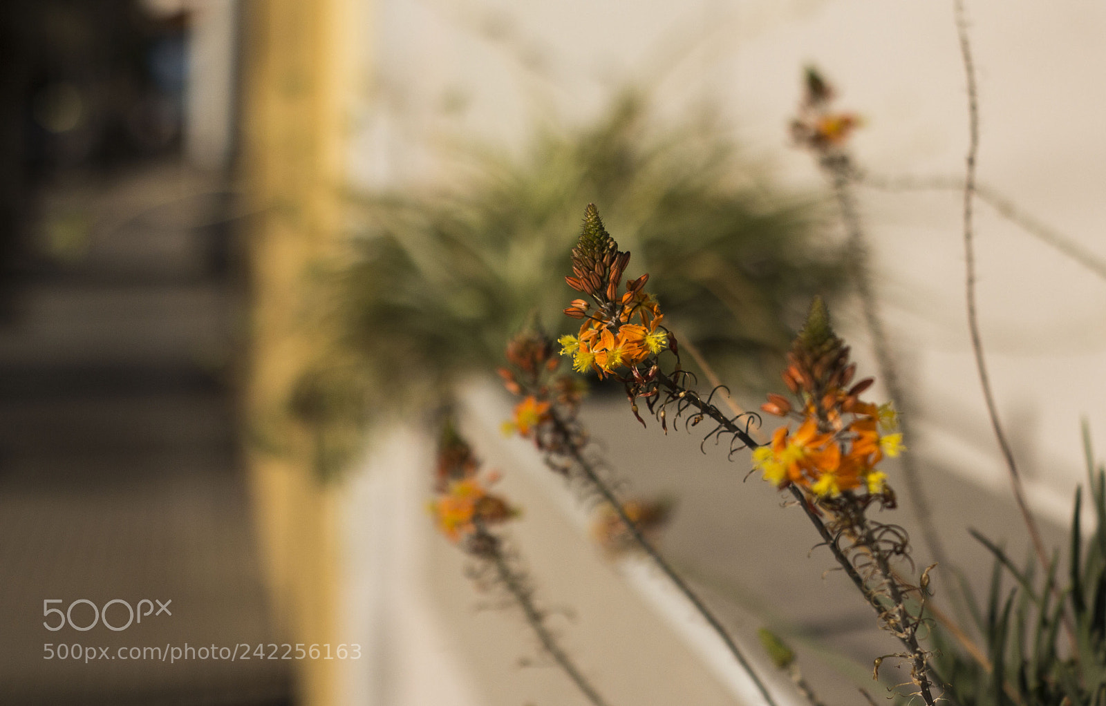 Canon EOS 700D (EOS Rebel T5i / EOS Kiss X7i) sample photo. Sunset colors photography