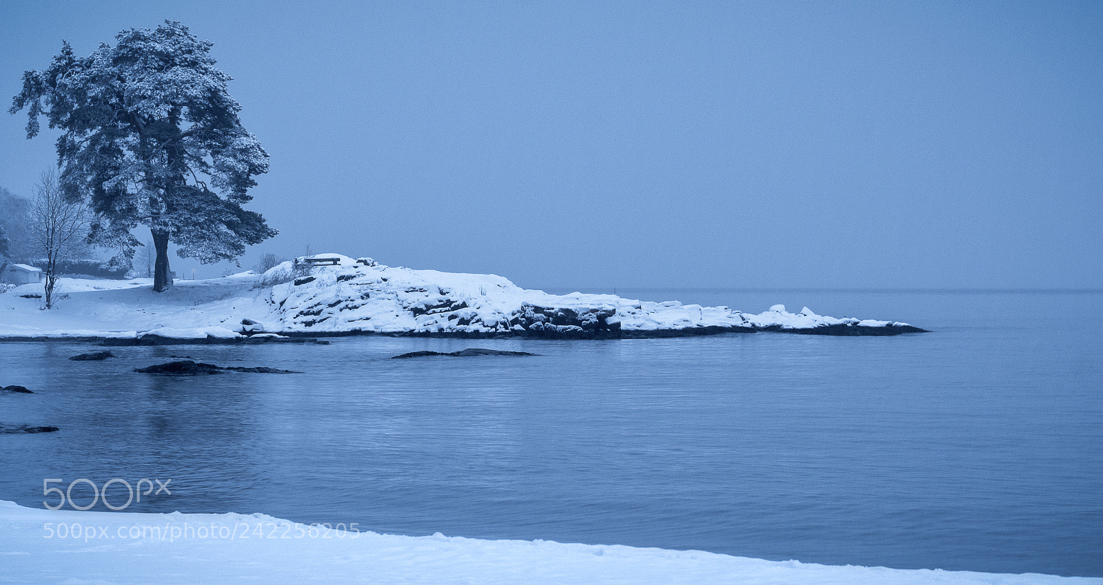 Fujifilm X-T2 sample photo. Blue hour photography
