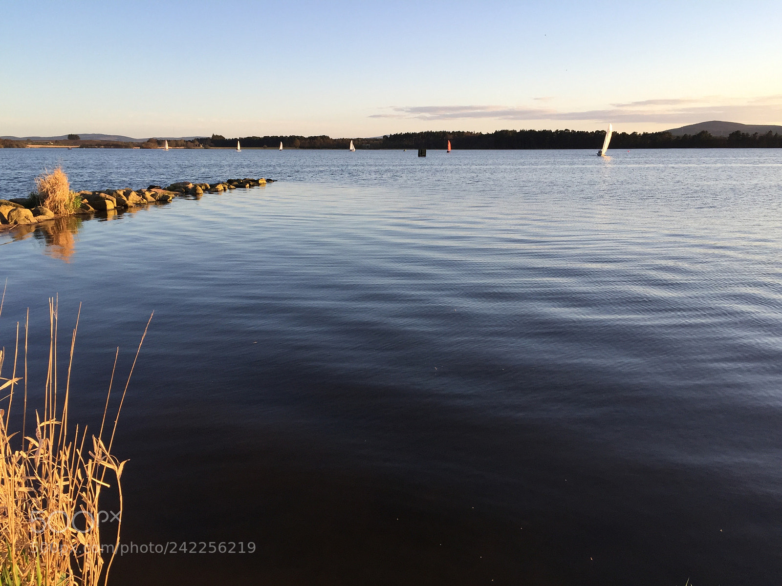 Apple iPhone 6 sample photo. Sail boats on water photography