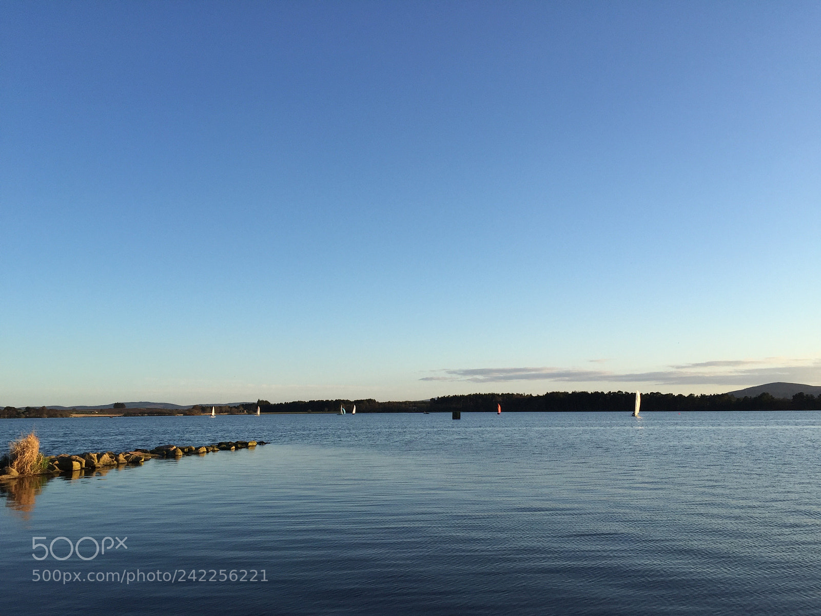 Apple iPhone 6 sample photo. Sail boats on water photography