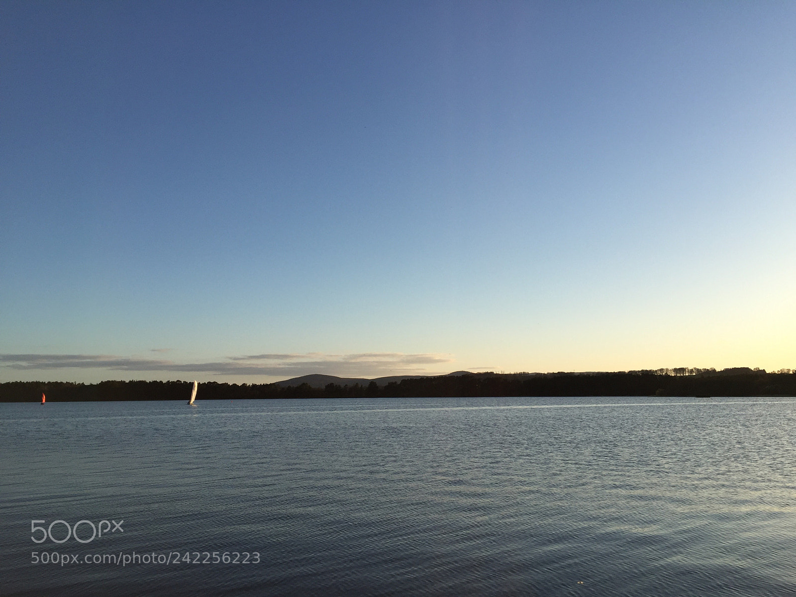 Apple iPhone 6 sample photo. Sail boats on water photography