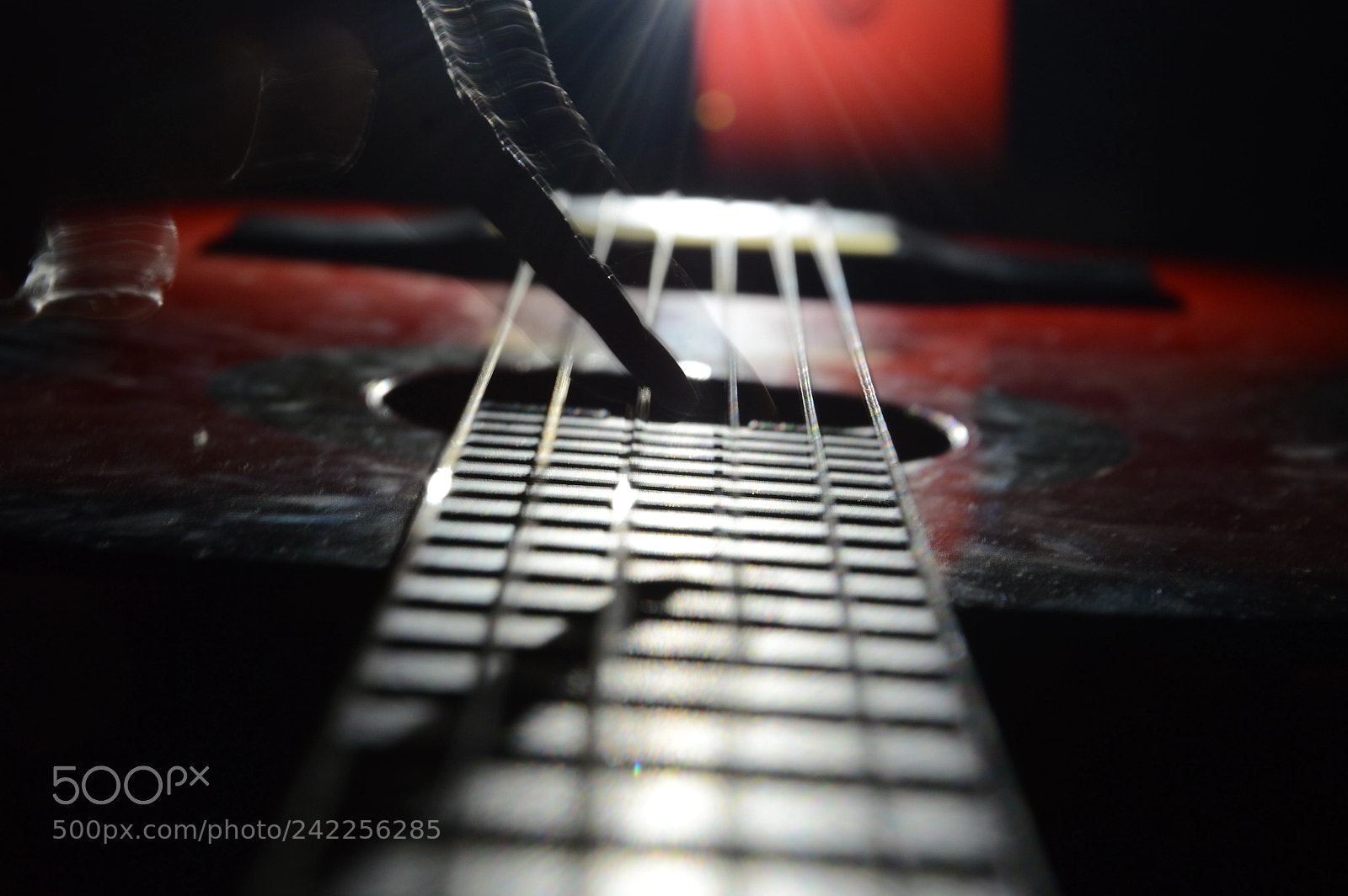 Nikon D3200 sample photo. Untitled photography